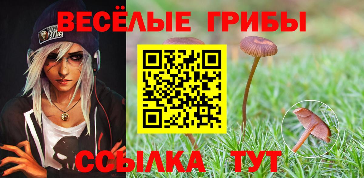 Псилоцибиновые грибы Cubensis Донской